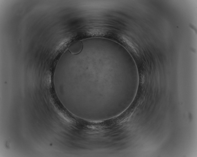 X0000092050733200709121212