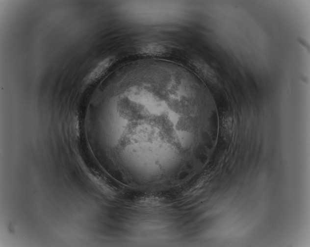 X0000092050734200709121212