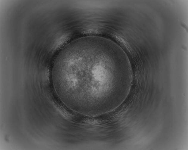 X0000092050735200709121212