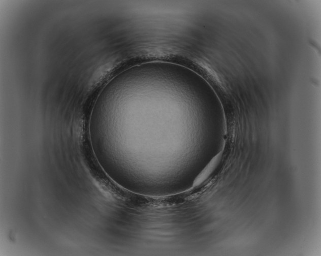 X0000092050736200709121212