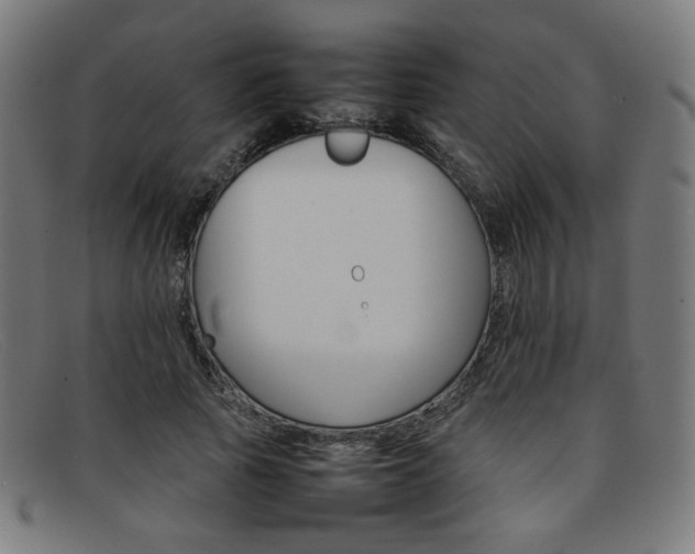 X0000092050737200709121212