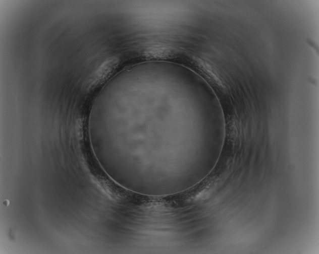 X0000092050738200709121212