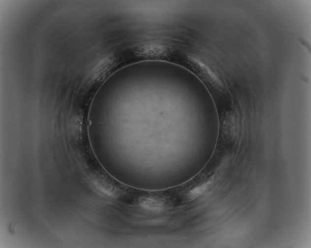 X0000092050739200709121212