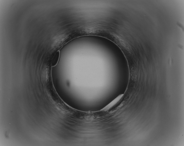 X0000092050740200709121212