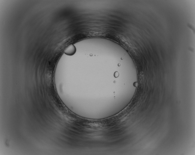 X0000092050741200709121212