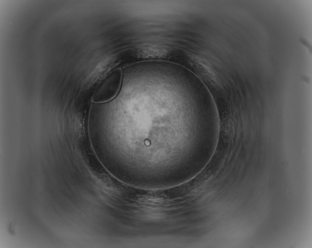 X0000092050743200709121212