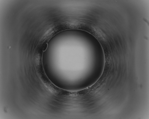 X0000092050744200709121212