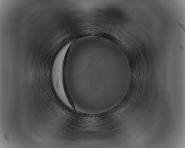 X0000092050745200709121212