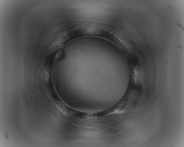 X0000092050746200709121212