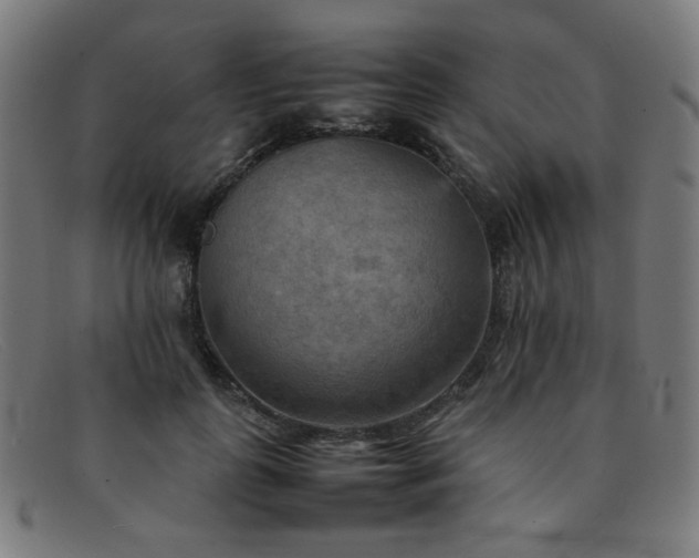 X0000092050747200709121212