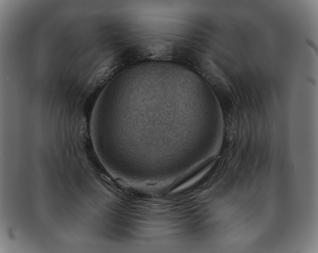 X0000092050748200709121212