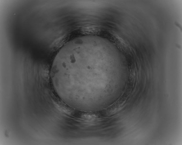 X0000092050749200709121212