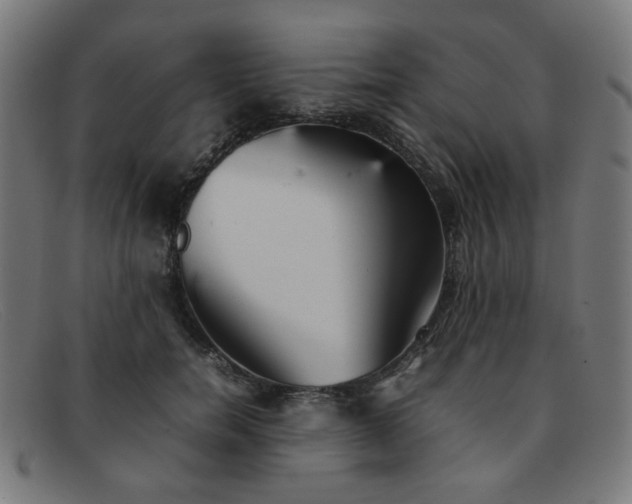 X0000092050750200709121212