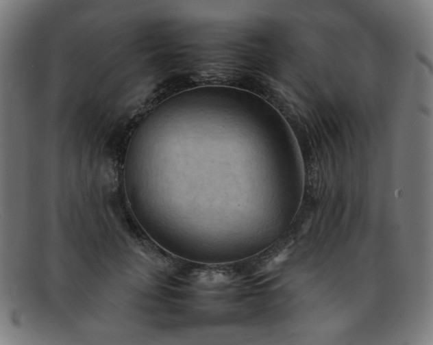 X0000092050751200709121212