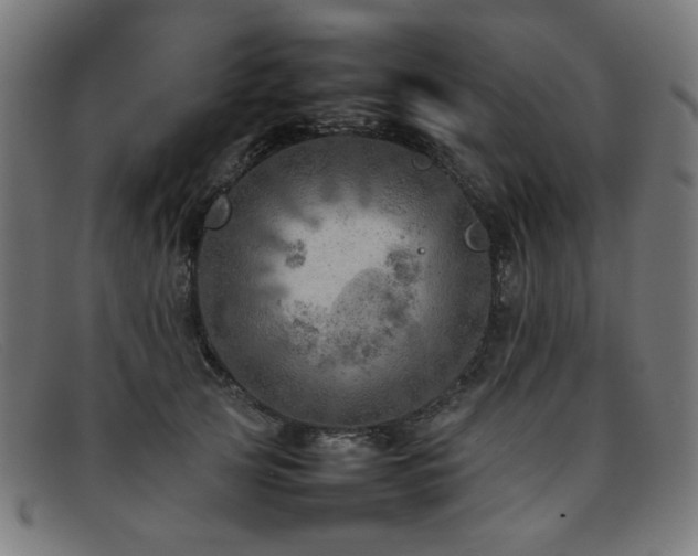 X0000092050753200709121212