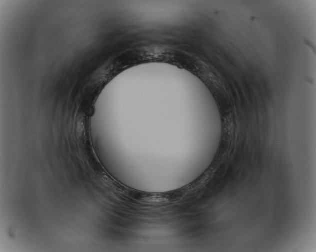 X0000092050754200709121212