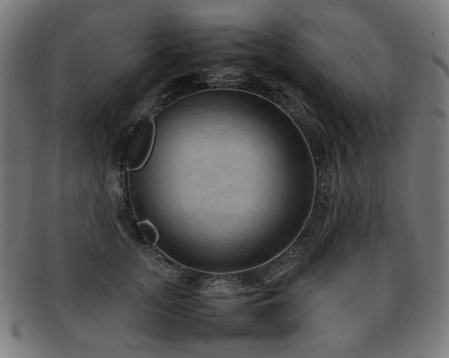 X0000092050755200709121212