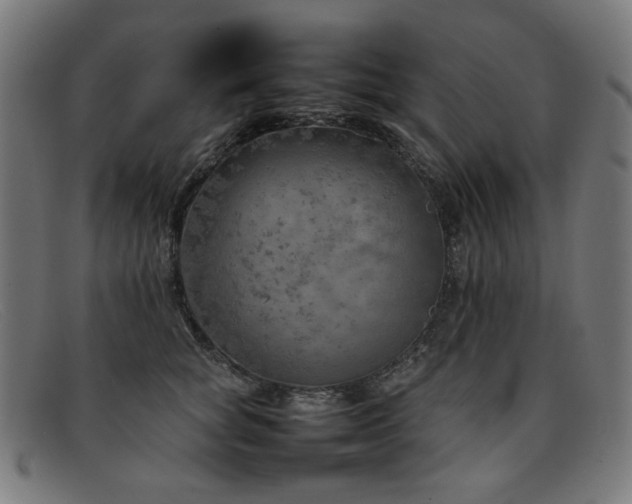 X0000092050757200709121212