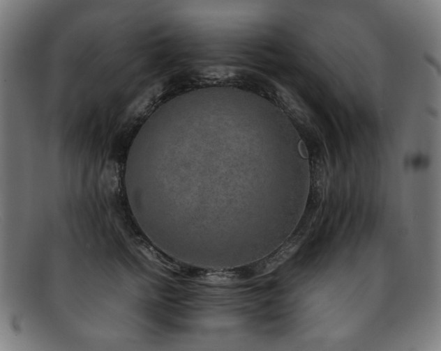 X0000092050758200709121212