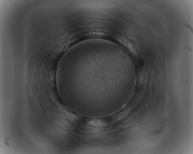 X0000092050759200709121212