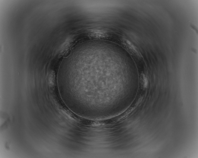 X0000092050760200709121212