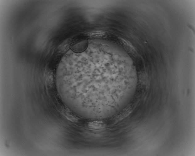 X0000092050761200709121212