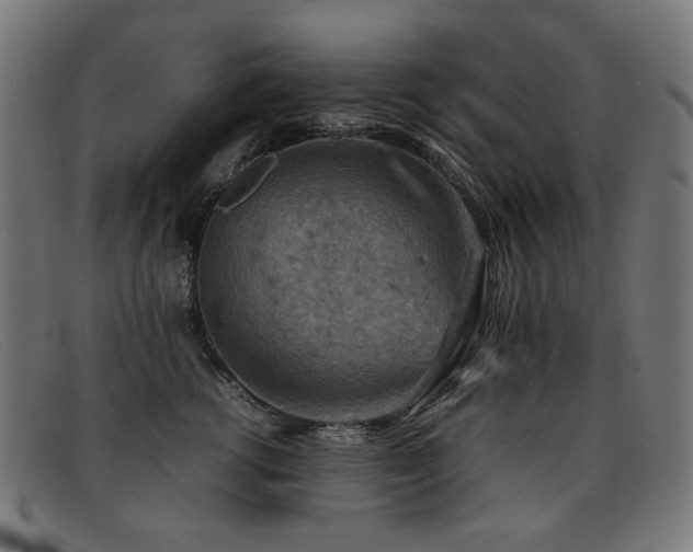 X0000092050762200709121212