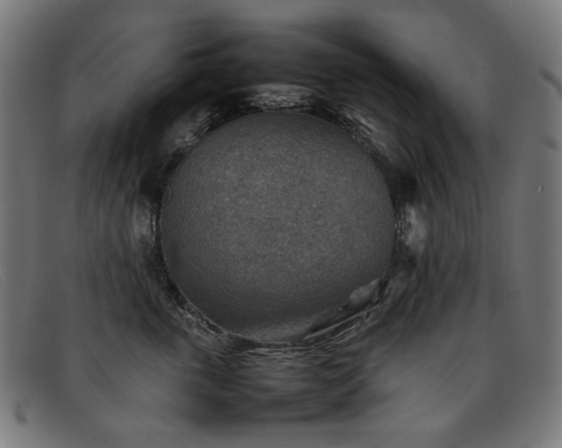 X0000092050763200709121212