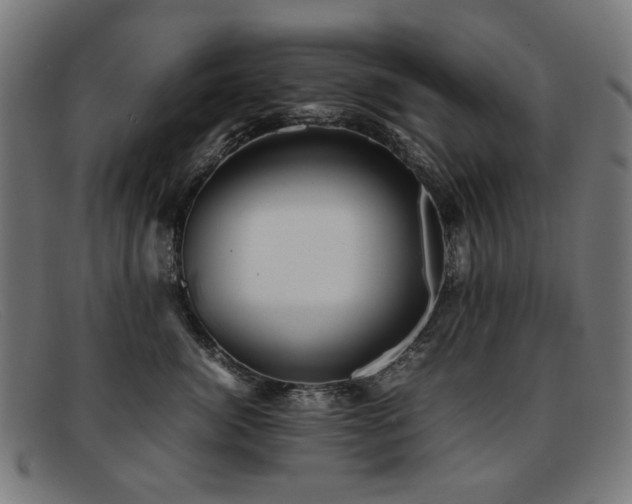 X0000092050764200709121212