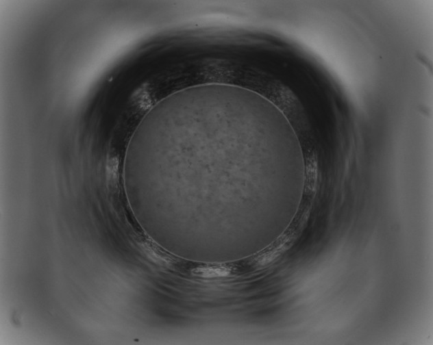 X0000092050765200709121212