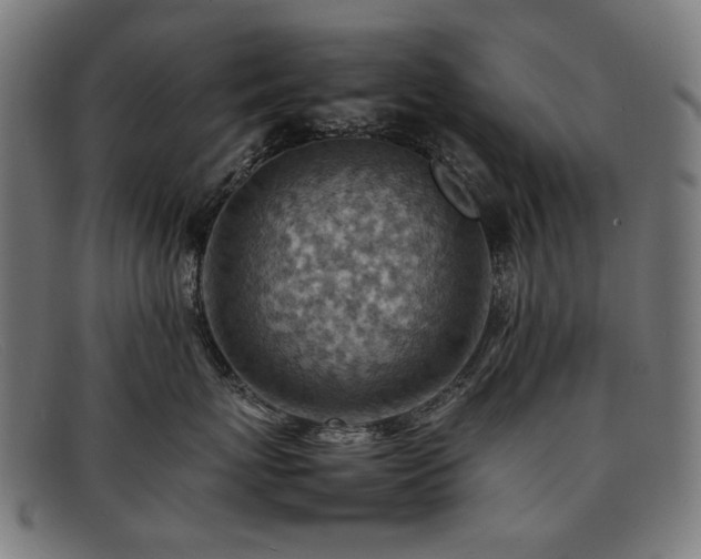 X0000092050767200709121212