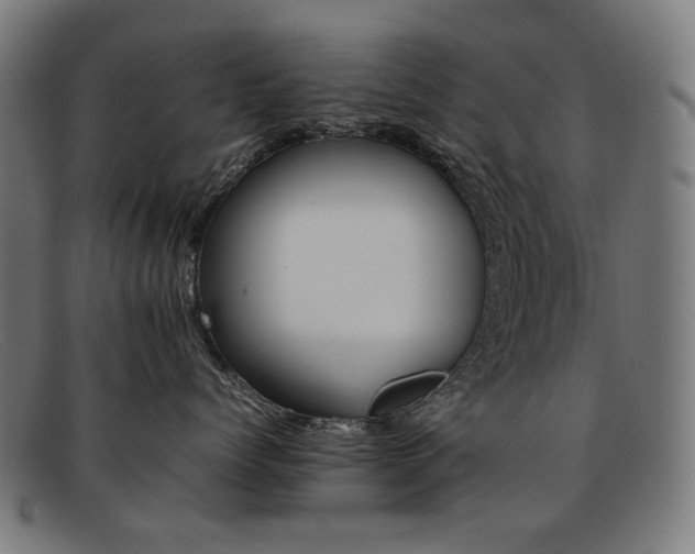 X0000092050768200709121212