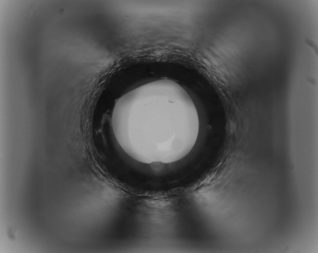 X0000092050769200709121212