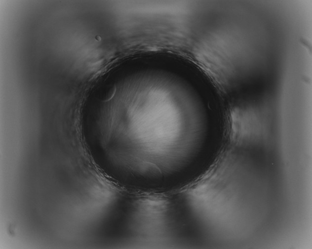 X0000092050770200709121212