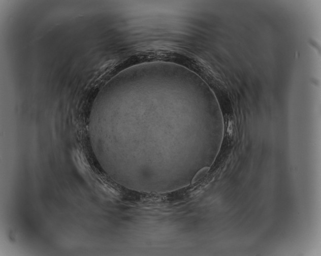 X0000092050771200709121212