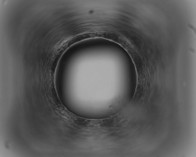 X0000092050773200709121212