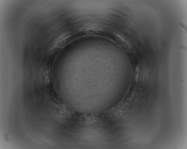 X0000092050774200709121212