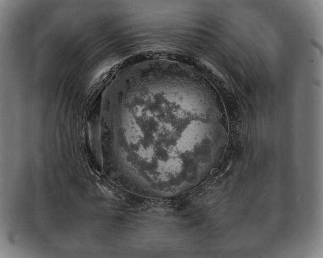 X0000092050775200709121212