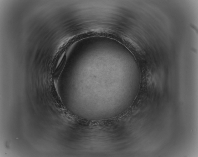 X0000092050776200709121212