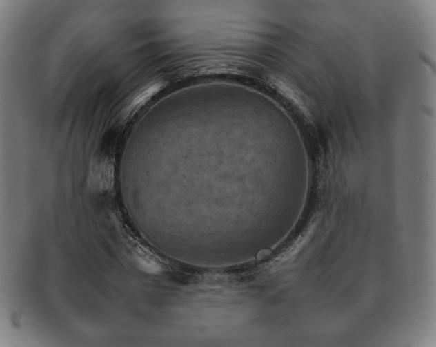 X0000092050777200709121212