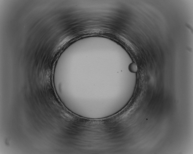 X0000092050778200709121212