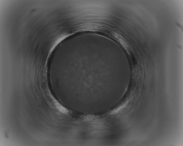 X0000092050779200709121212