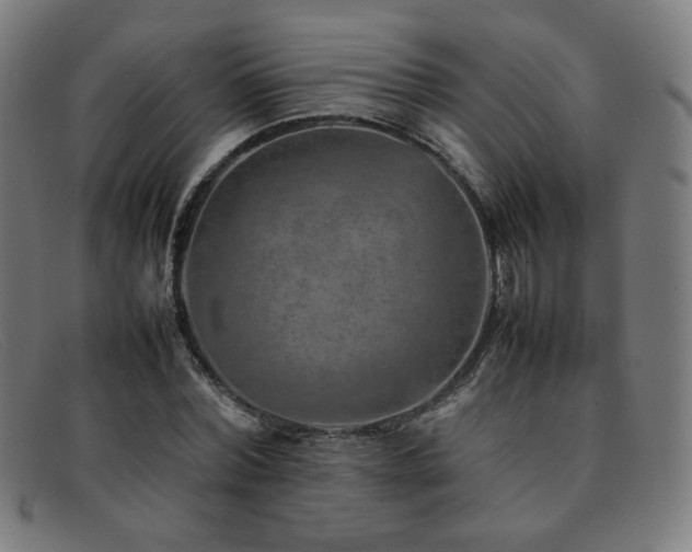 X0000092050780200709121212