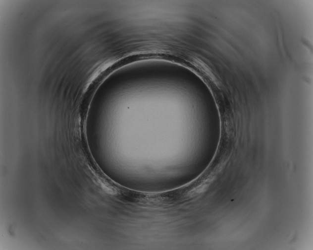 X0000092050781200709121212