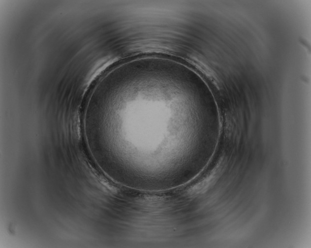 X0000092050782200709121212