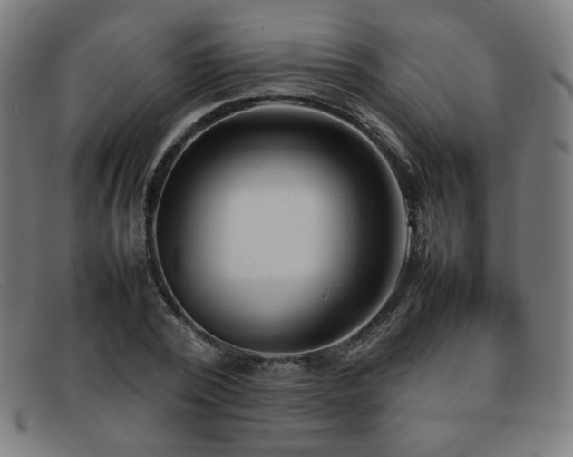 X0000092050784200709121212