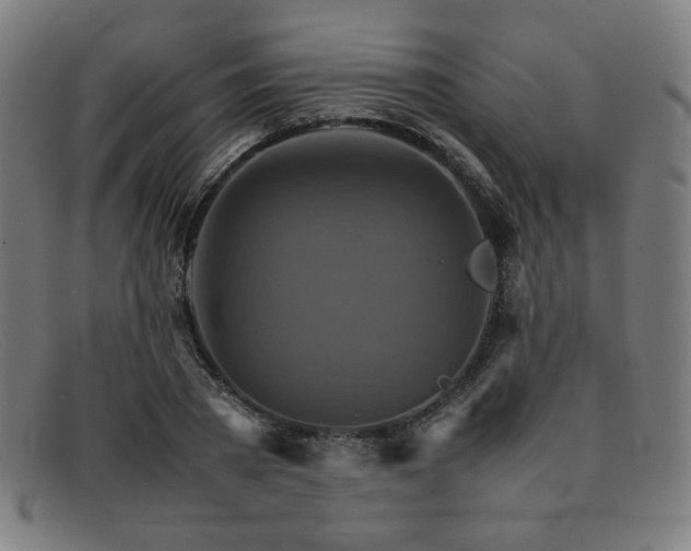 X0000092050785200709121211