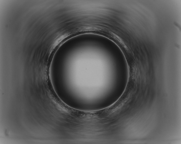 X0000092050786200709121211