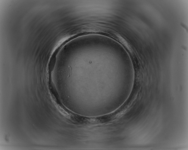 X0000092050787200709121211