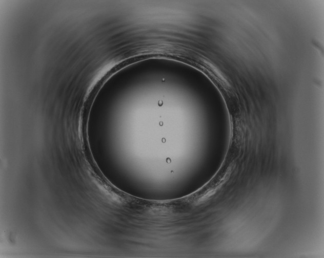 X0000092050788200709121211